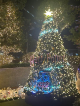 Club GOLD - まほの女の子ブログ画像