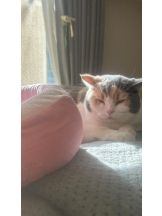 Club GOLD - まほの女の子ブログ画像