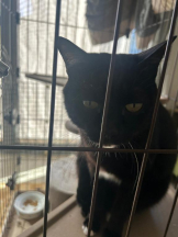 Club GOLD - まほの女の子ブログ画像