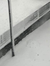 Club GOLD - まほの女の子ブログ画像