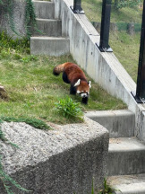 Club GOLD - まほの女の子ブログ画像