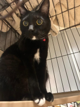 Club GOLD - まほの女の子ブログ画像