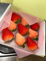 Club GOLD - まほの女の子ブログ画像