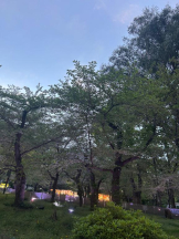 Club GOLD - まほの女の子ブログ画像