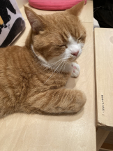 Club Queen - ユキの女の子ブログ画像