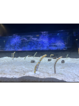 Club Queen - ユキの女の子ブログ画像