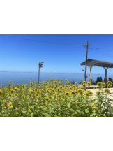 Club Queen - ユキの女の子ブログ画像