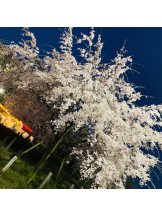 Club Queen - サナの女の子ブログ画像