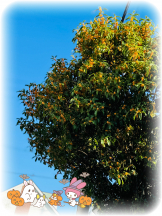 Club Queen - サナの女の子ブログ画像