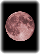 Club Queen - サナの女の子ブログ画像