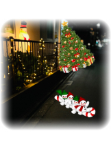 Club Queen - サナの女の子ブログ画像