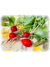 Club Queen - サナの女の子ブログ画像