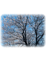 Club Queen - サナの女の子ブログ画像