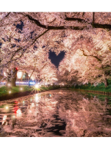 Club Queen - 桜咲ひな🎀の女の子ブログ画像