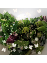 Club Queen - 桜咲ひな🎀の女の子ブログ画像