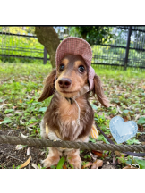 Club Queen - 桜咲ひな🎀の女の子ブログ画像