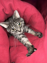 Club Queen - リンの女の子ブログ画像