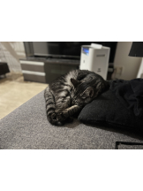 Club Queen - リンの女の子ブログ画像