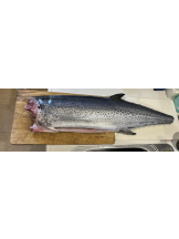 Club Queen - リンの女の子ブログ画像