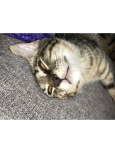 Club Queen - リンの女の子ブログ画像