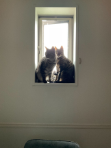 Club Queen - リンの女の子ブログ画像