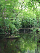 Club Queen - シノの女の子ブログ画像