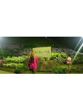 Club Queen - シノの女の子ブログ画像