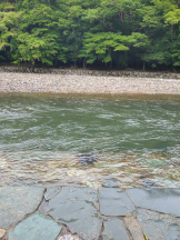 Club Queen - シノの女の子ブログ画像