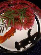 Club Queen - シノの女の子ブログ画像