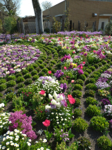 Club Queen - シノの女の子ブログ画像