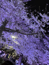 Club Queen - ノアの女の子ブログ画像