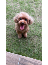 Club Queen - ユアの女の子ブログ画像