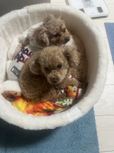 Club Queen - ユアの女の子ブログ画像