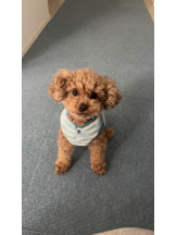 Club Queen - ユアの女の子ブログ画像