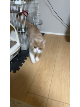 Club Queen - ユアの女の子ブログ画像