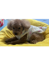 Club Queen - ユアの女の子ブログ画像