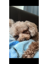 Club Queen - ユアの女の子ブログ画像