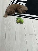 Club Queen - ユアの女の子ブログ画像