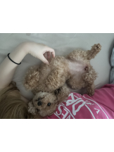 Club Queen - ユアの女の子ブログ画像