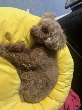 Club Queen - ユアの女の子ブログ画像