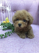 Club Queen - ユアの女の子ブログ画像