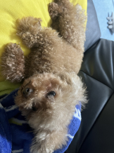 Club Queen - ユアの女の子ブログ画像