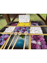 Club Queen - ユアの女の子ブログ画像