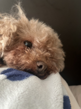 Club Queen - ユアの女の子ブログ画像