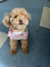 Club Queen - ユアの女の子ブログ画像