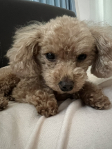 Club Queen - ユアの女の子ブログ画像