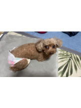 Club Queen - ユアの女の子ブログ画像