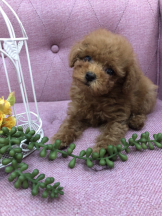 Club Queen - ユアの女の子ブログ画像