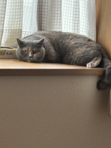 Club Queen - ユアの女の子ブログ画像