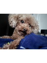 Club Queen - ユアの女の子ブログ画像